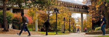 جامعة ميشيغان - فلينت